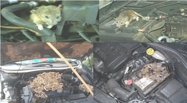 ford đà nẵng, Xe đã lâu không sử dụng cần kiểm tra như thế nào?